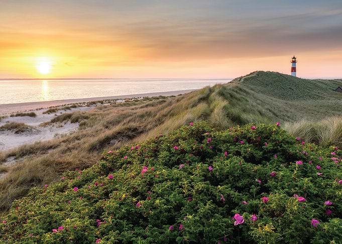Sunset over coastal dunes with lighthouse