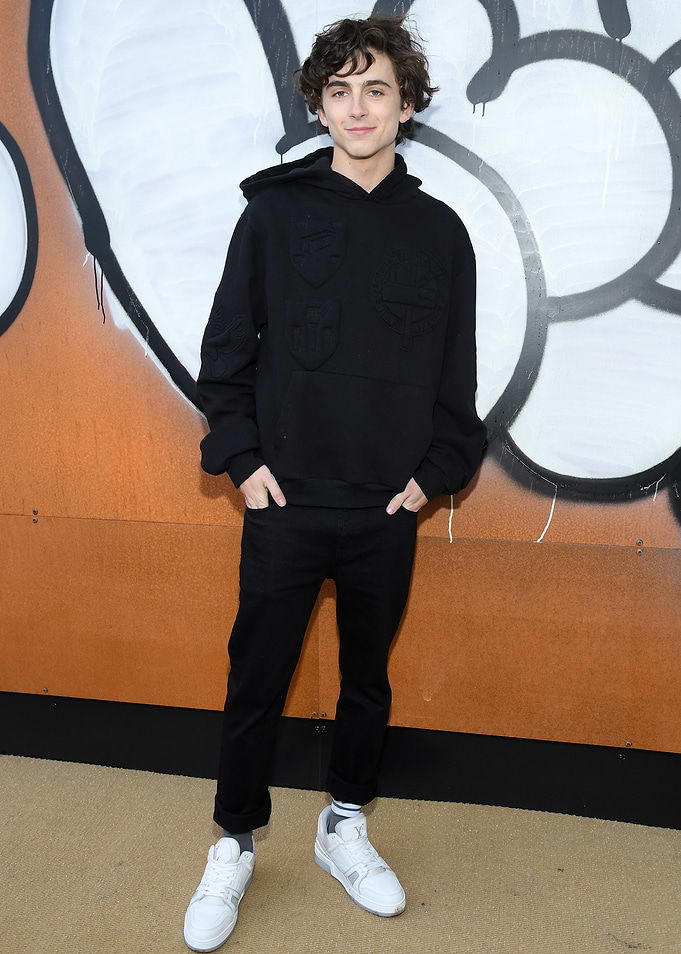 Timothée Chalamet in Black Hoodie