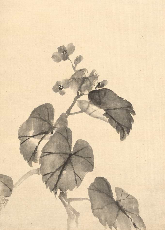 Ink Wash Painting of Grape Leaves and Flowers