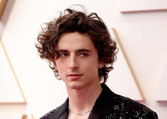 Timothée Chalamet at the Oscars