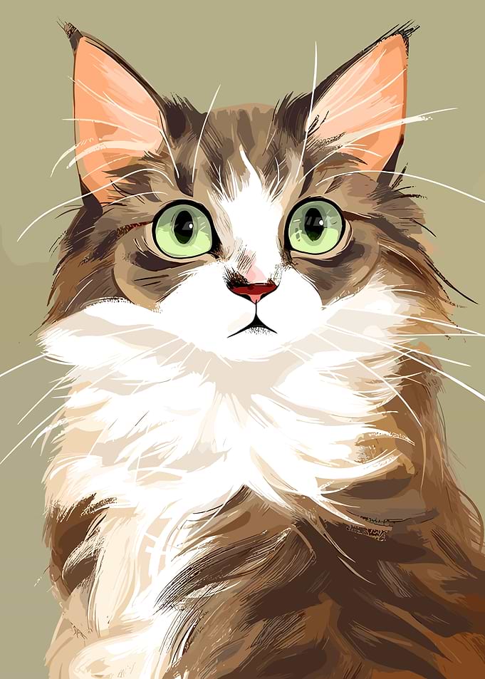 Close-up of a fluffy cat's face