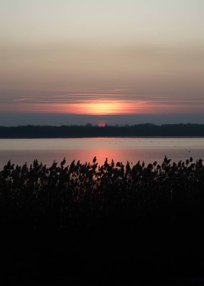 Sunset over a lake with reeds