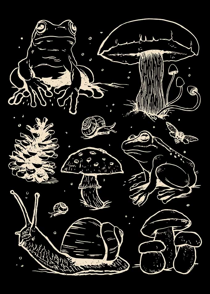 Forest Frog & Mushroom Poster, Linocut Style Nature Wall Art, Snail Woodland Print