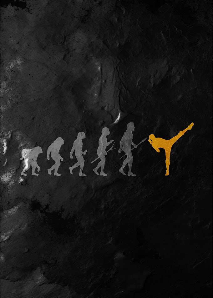 Evolution of Martial Arts