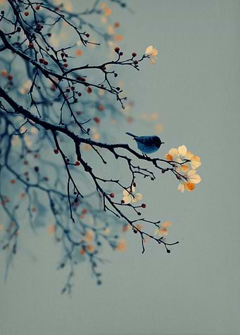 Bird on a branch with leaves