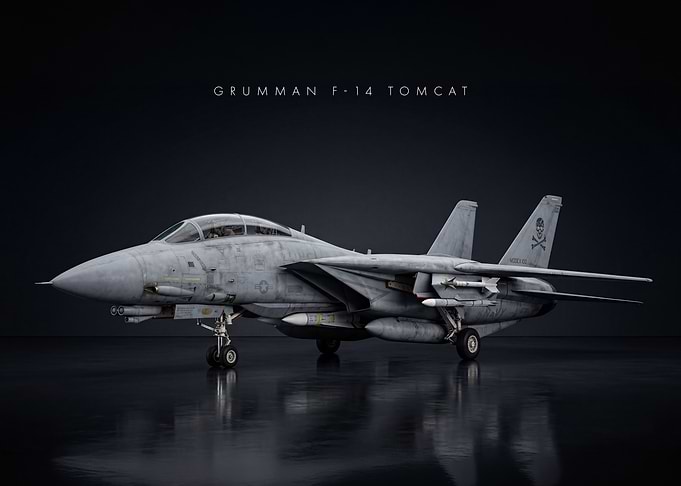 Grumman F-14 Tomcat Fighter Jet