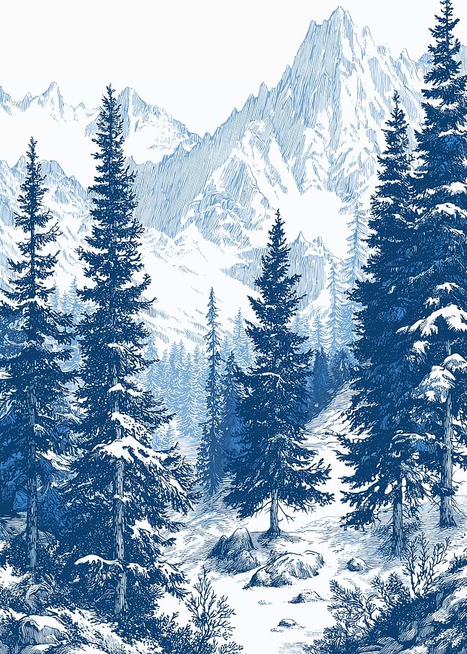 Snowy Mountain Forest Landscape