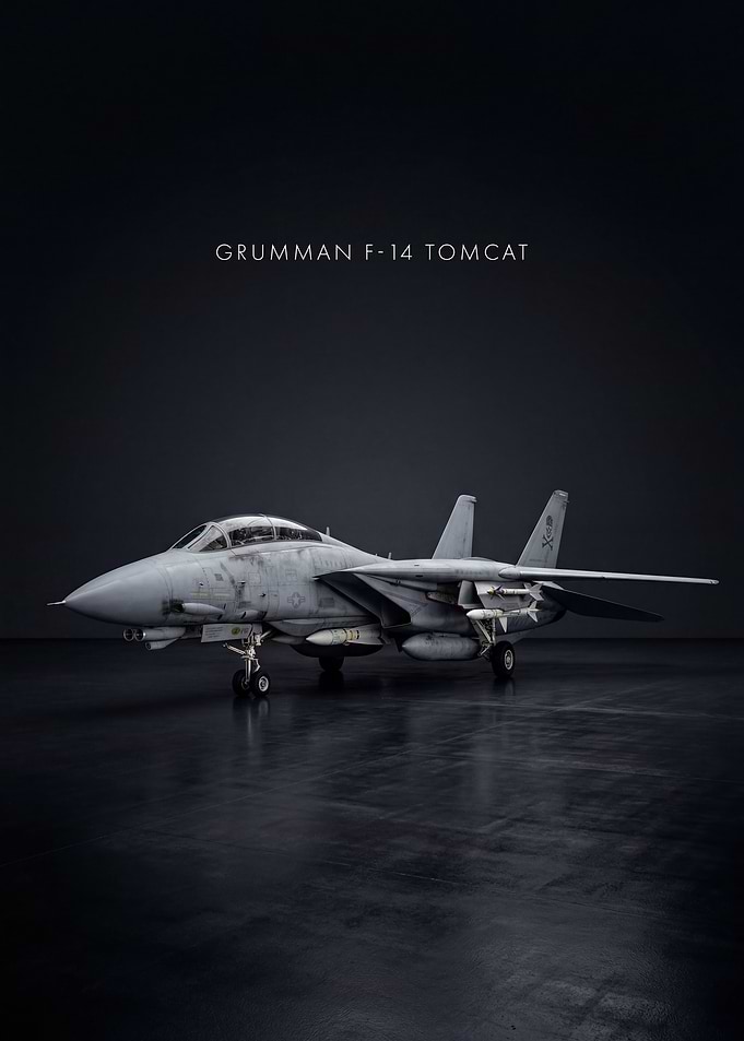 Grumman F-14 Tomcat Jet