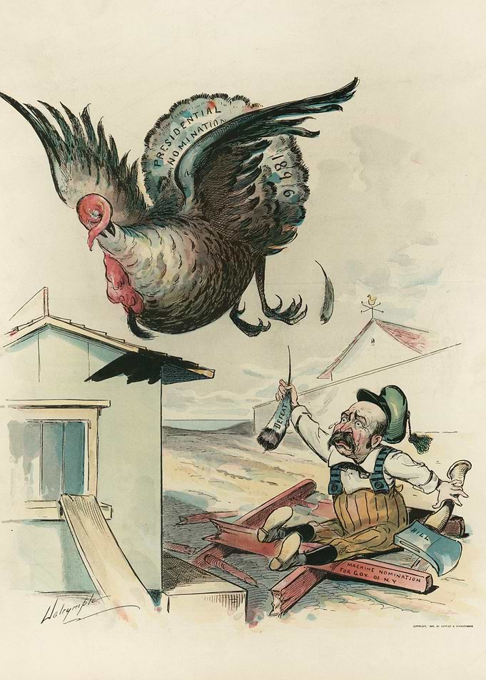 Political Turkey Nomination Cartoon