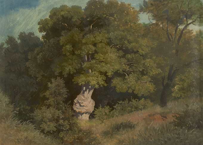 Lush Forest Scene with Ancient Oak Tree