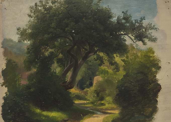 Path through a Lush Forest