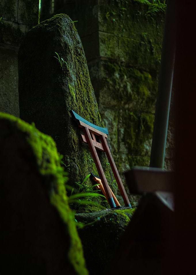 Moss-Covered Torii Gate in Forest