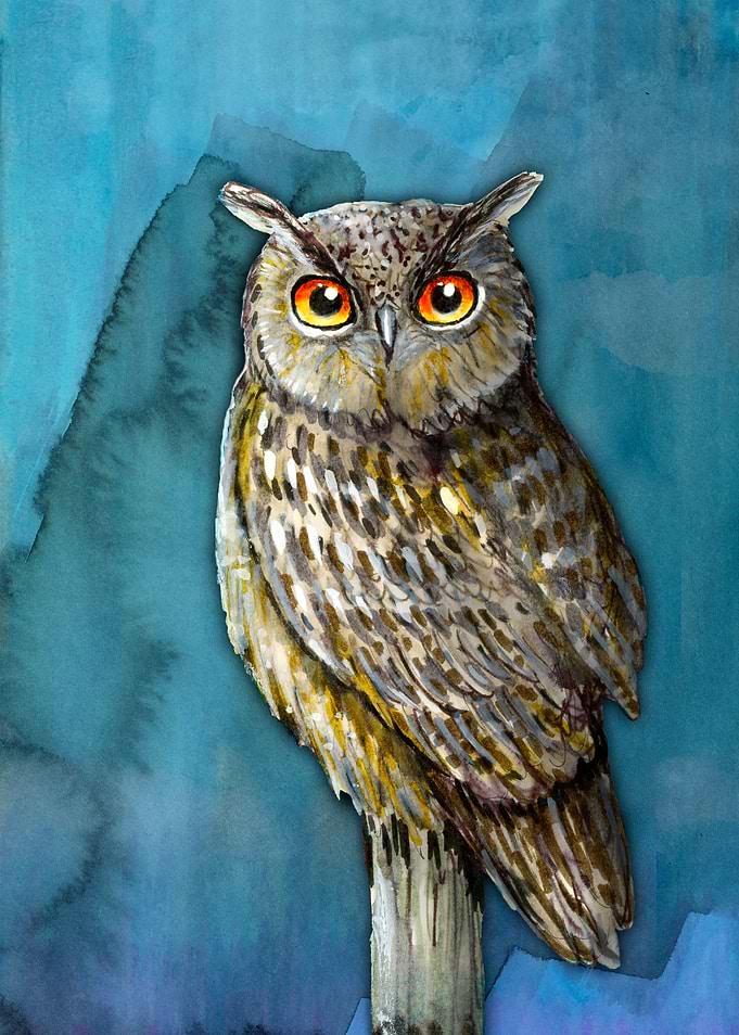 Eagle Owl with Orange Eyes