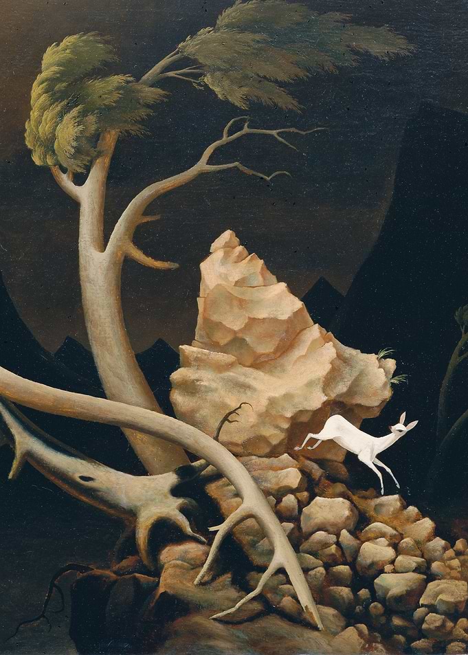 White Deer Leaping in a Dark Forest
