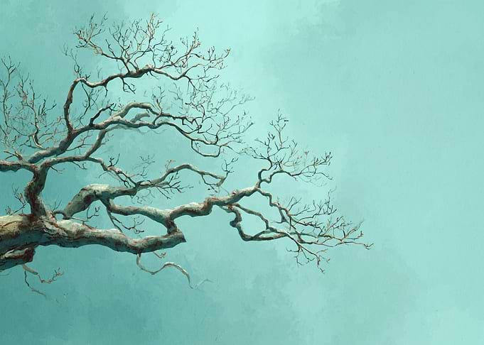 Bare Tree Branches Against Teal Sky