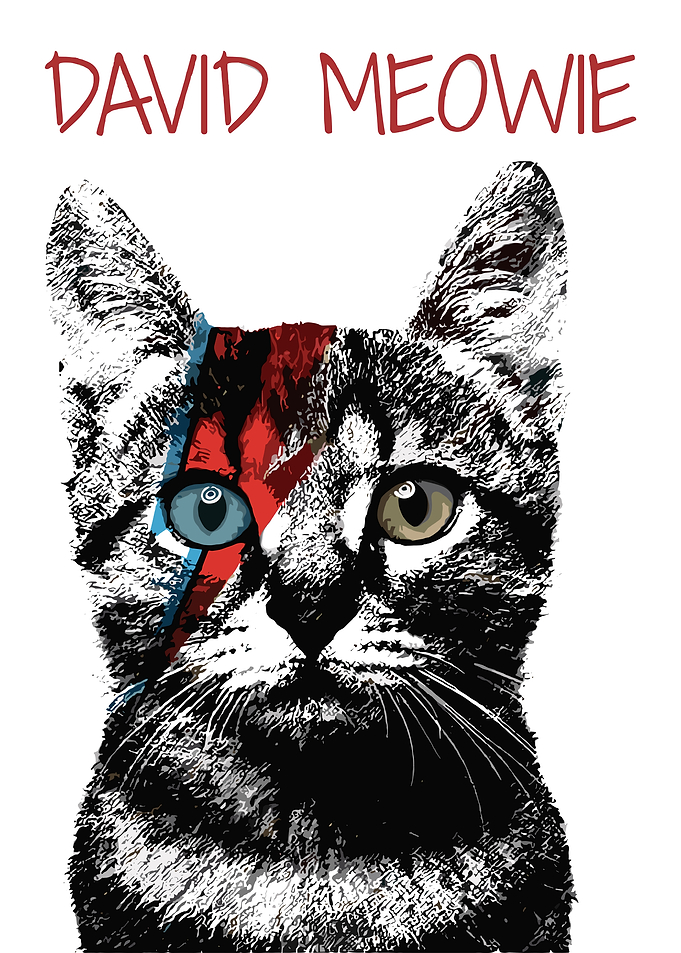 David Meowie Cat Portrait