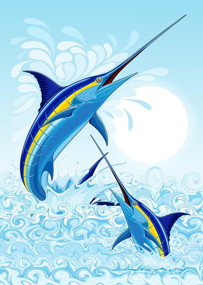 Marlin Fish Jumping in Ocean