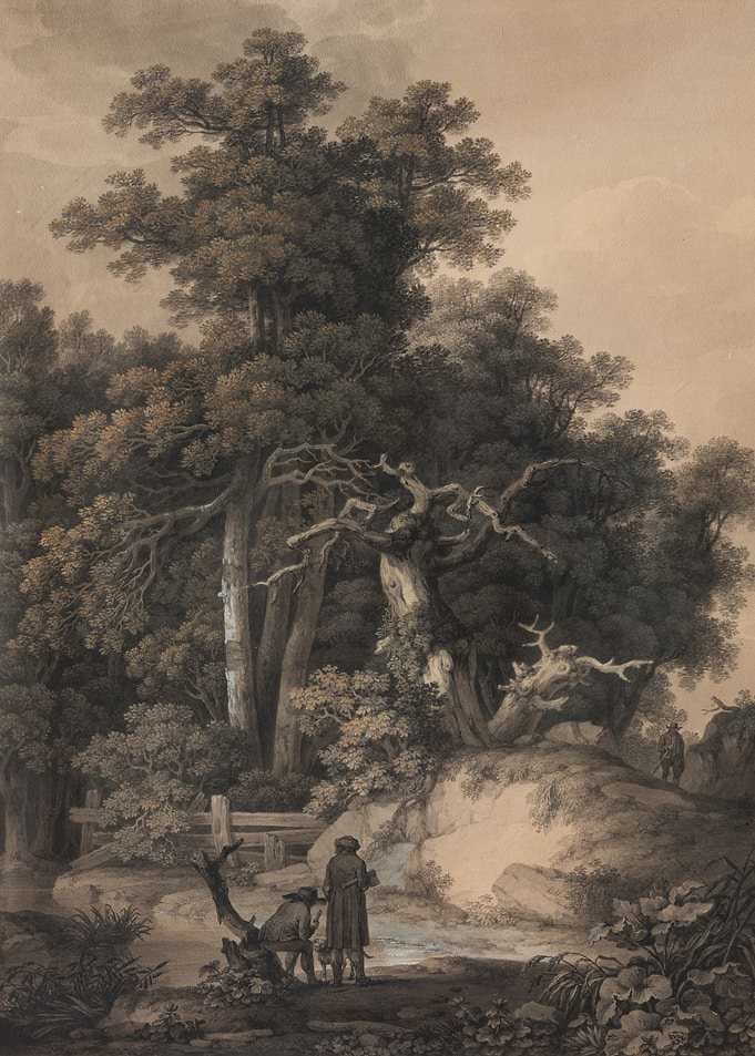 Two figures in a forest clearing