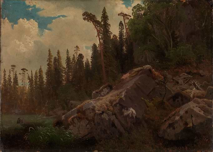 Rocky Forest Landscape Painting
