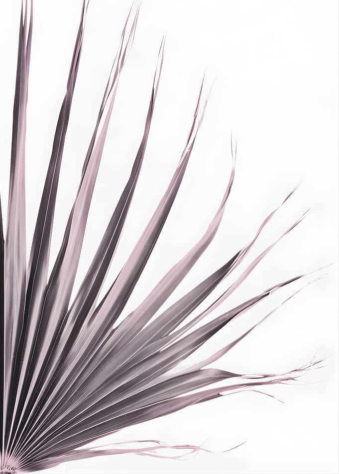 Palm Frond Detail