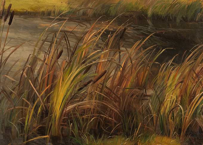 Reeds by the Water