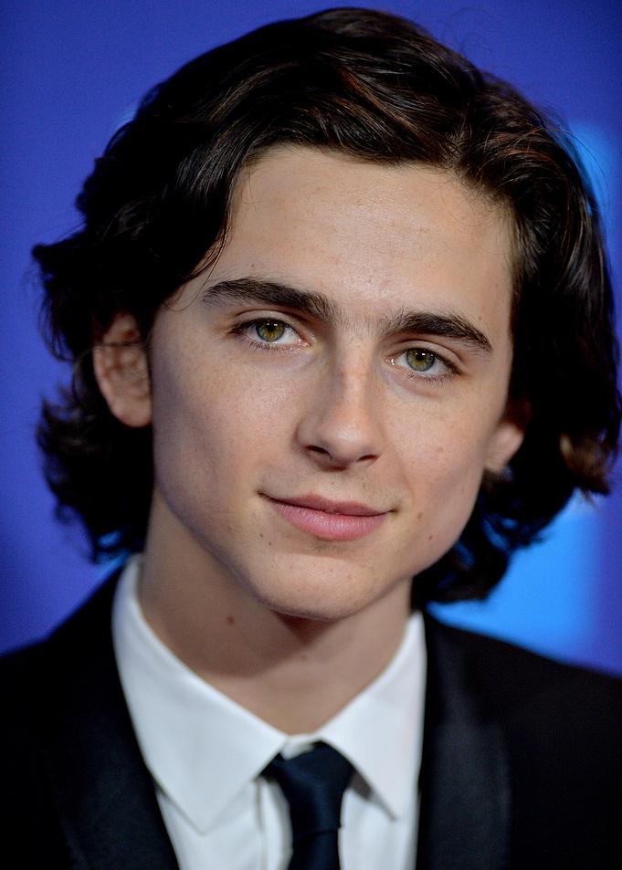 Timothée Chalamet Portrait