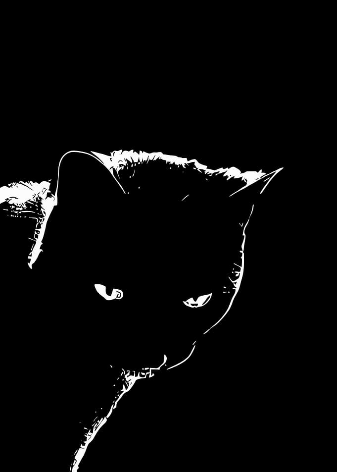 Black Cat Silhouette with Glowing Eyes