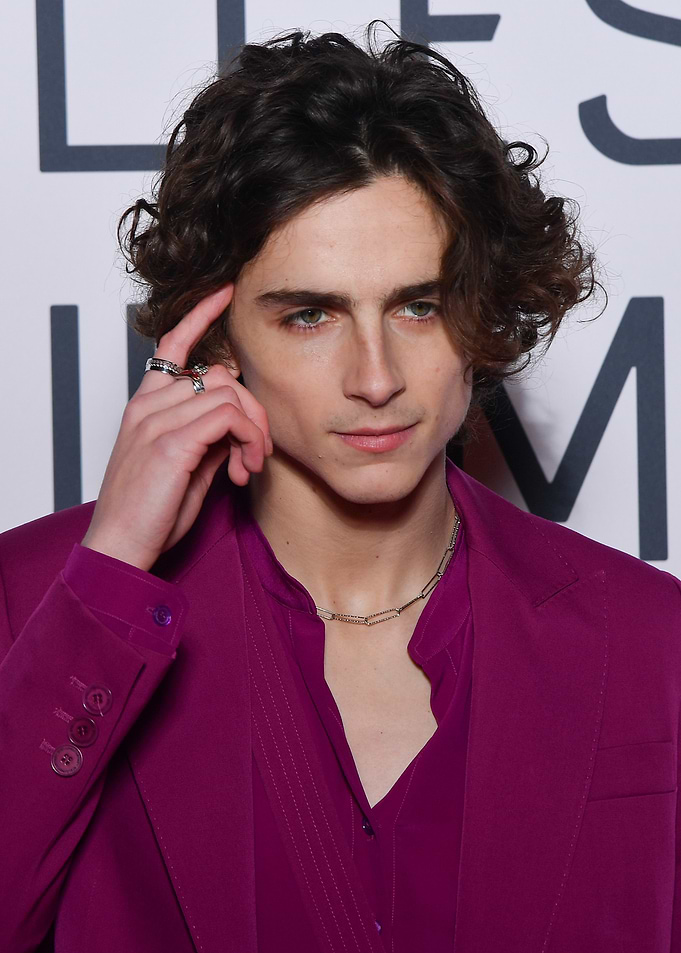 Timothée Chalamet in Purple Suit