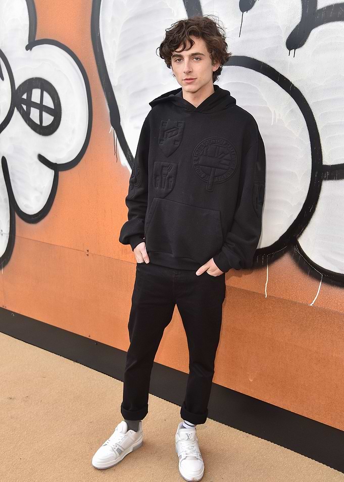 Timothée Chalamet Poses in Black Hoodie