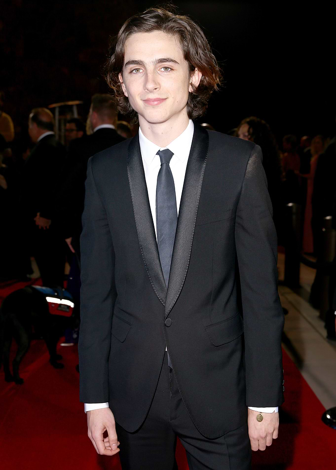 Timothée Chalamet on Red Carpet