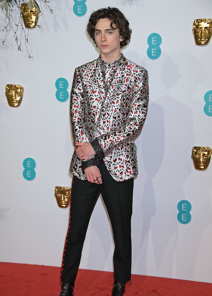 Timothée Chalamet on Red Carpet