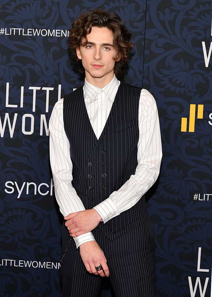 Timothée Chalamet at Little Women Premiere