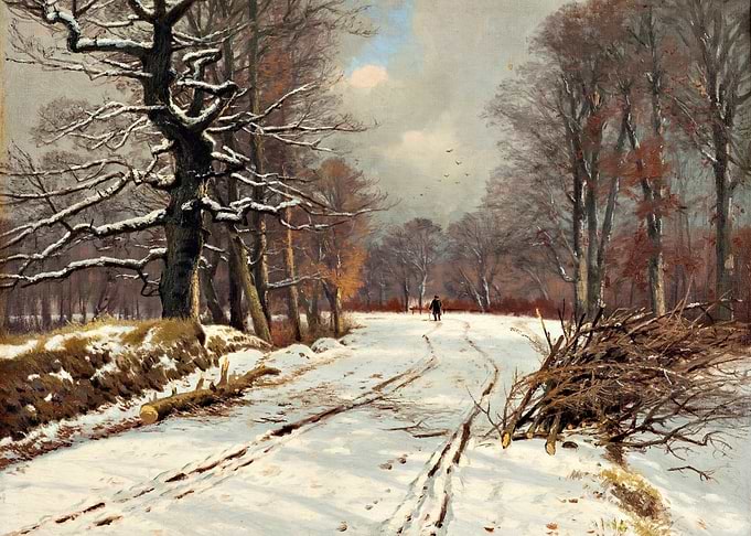Winter Forest Path with Snow