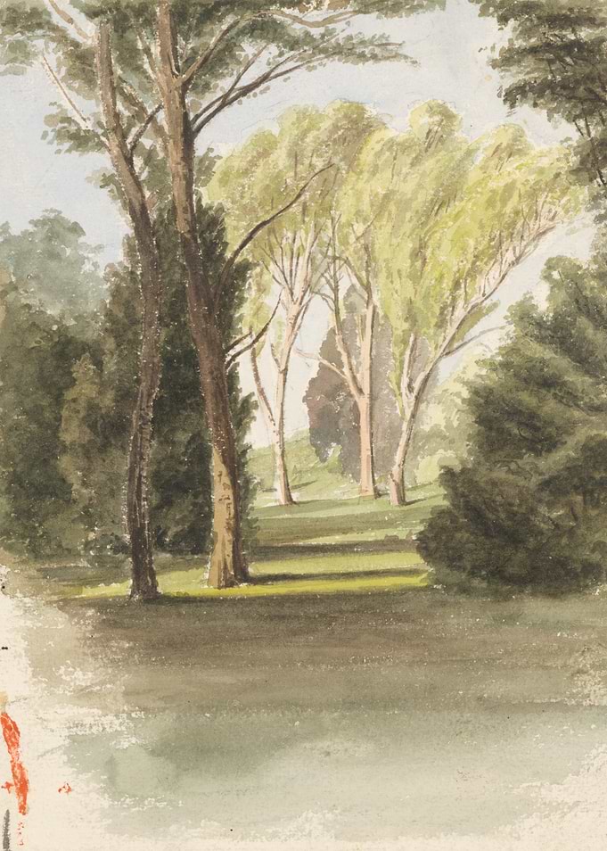 Watercolor painting of a park with trees