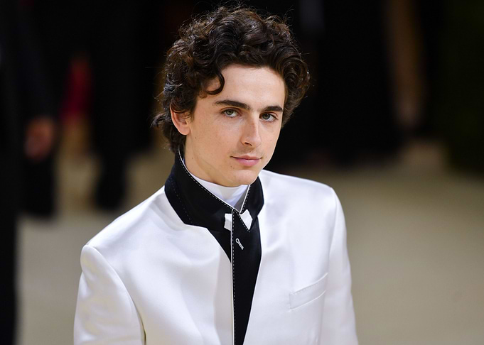 Timothée Chalamet at the Met Gala