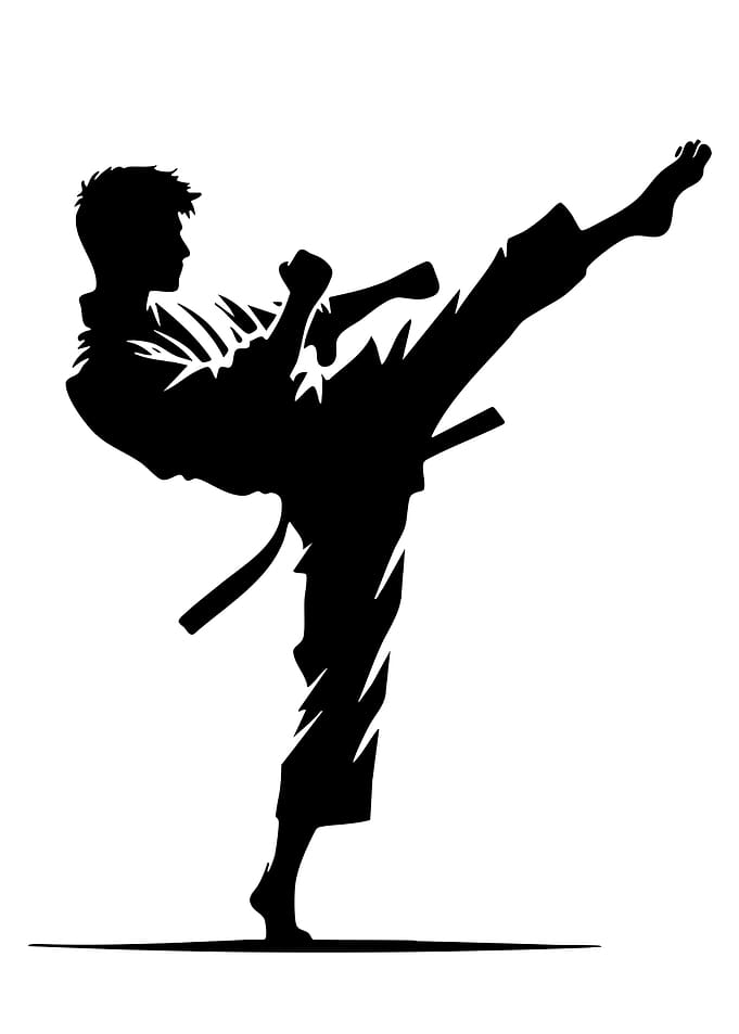 Karate silhouette kicking