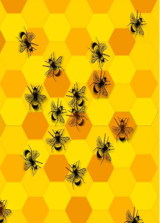 Bee Dance