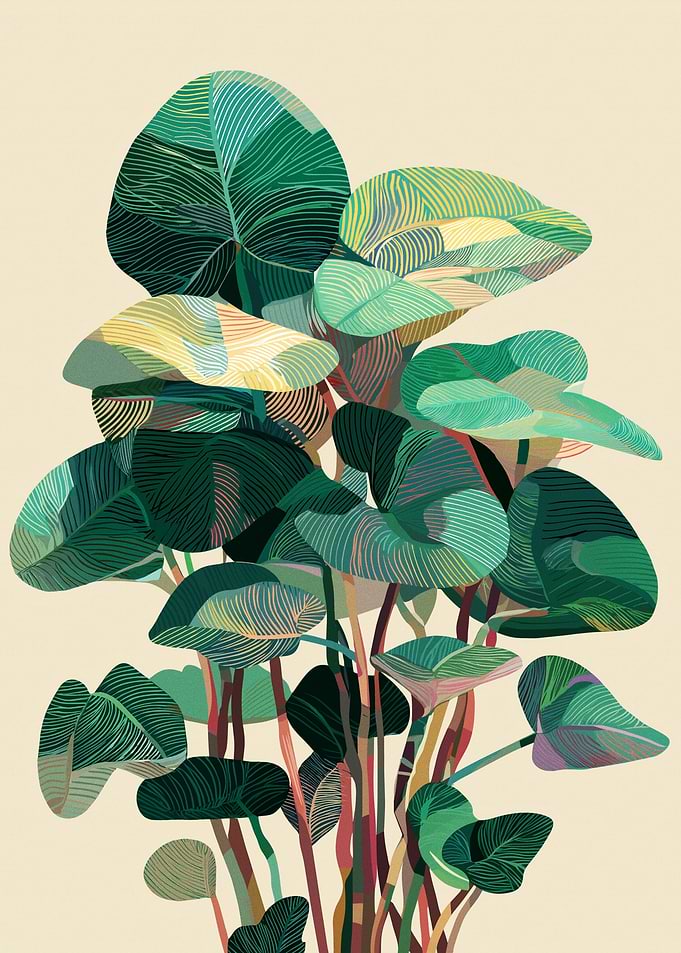 Stylized Tropical Plant Illustration