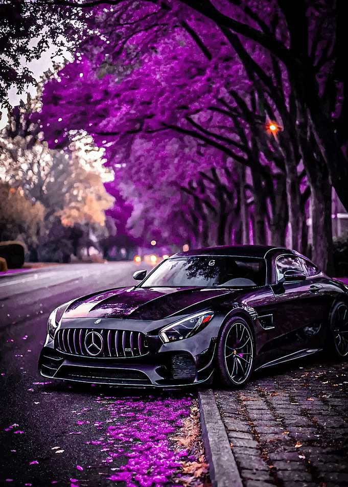 Black Mercedes AMG GT on a purple tree-lined street