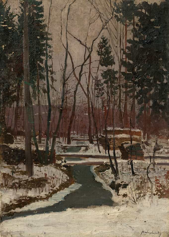 Winter Forest Scene with Stream