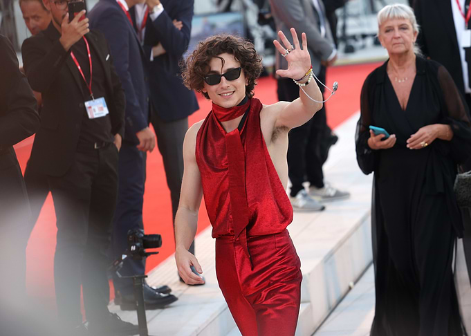 Timothée Chalamet on Red Carpet