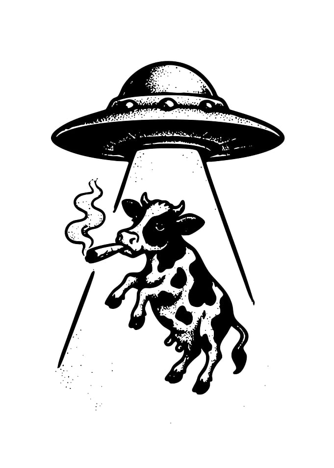 Cow Abducted by UFO Smoking