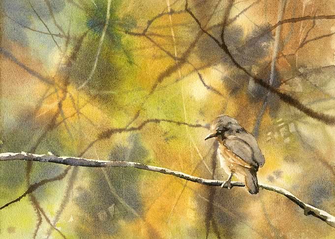 Bird on a Branch in Autumn Forest