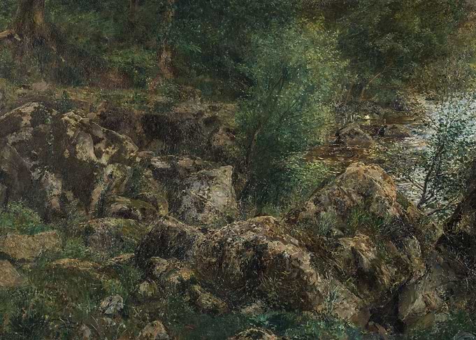 Rocky stream in a forest