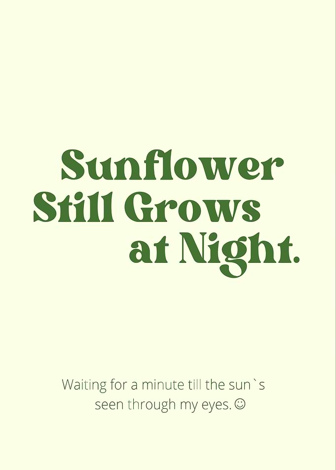 Sunflower Still Grows at Night