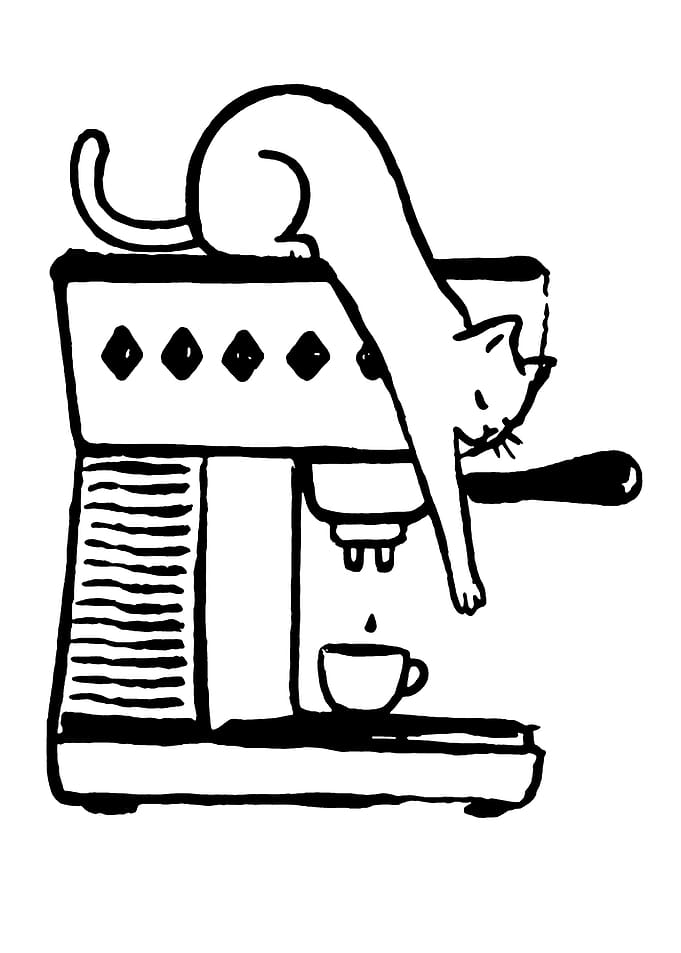 Cat making coffee