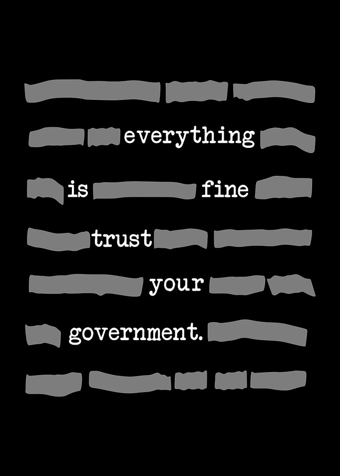 Everything is fine trust your government text art
