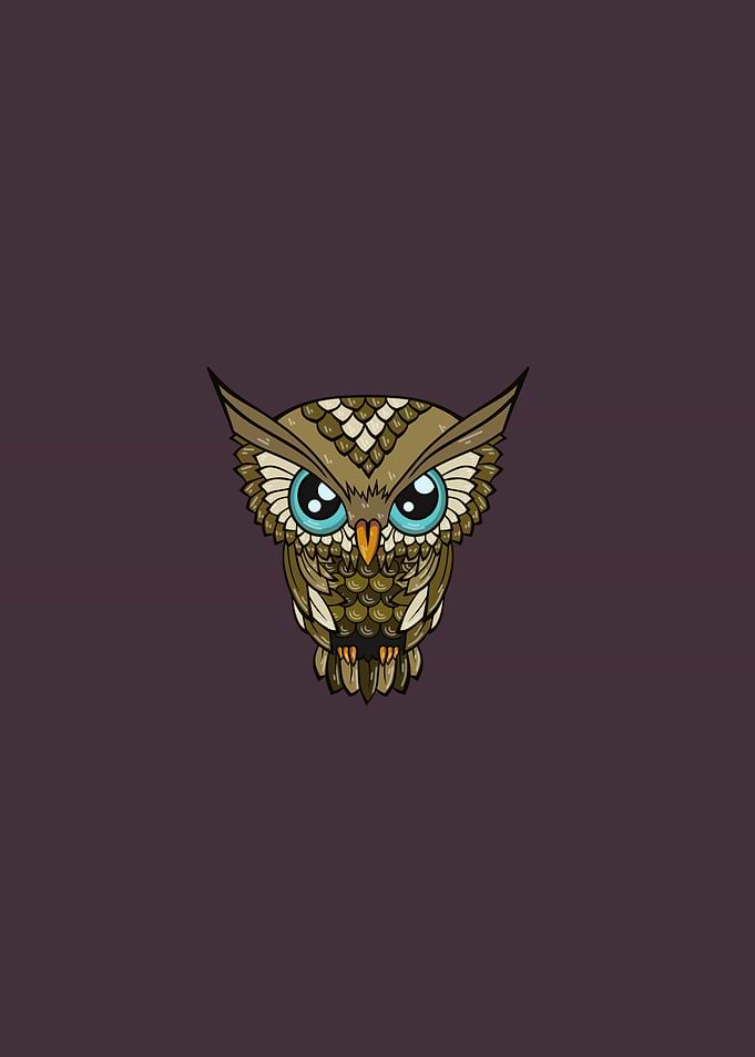 Cute Cartoon Owl Illustration