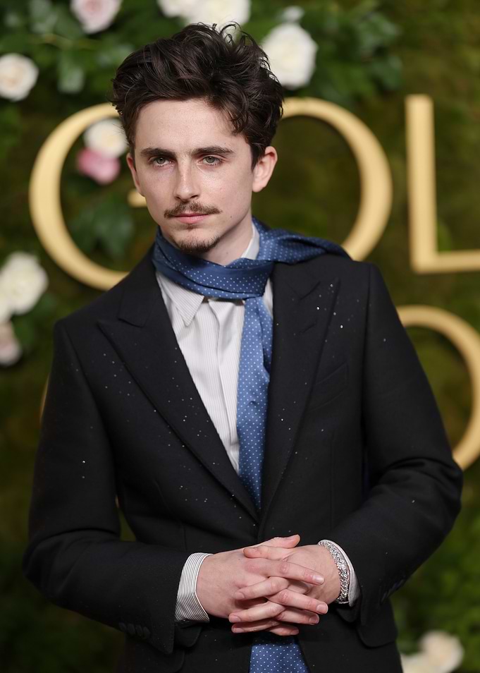 Timothée Chalamet at Golden Globes