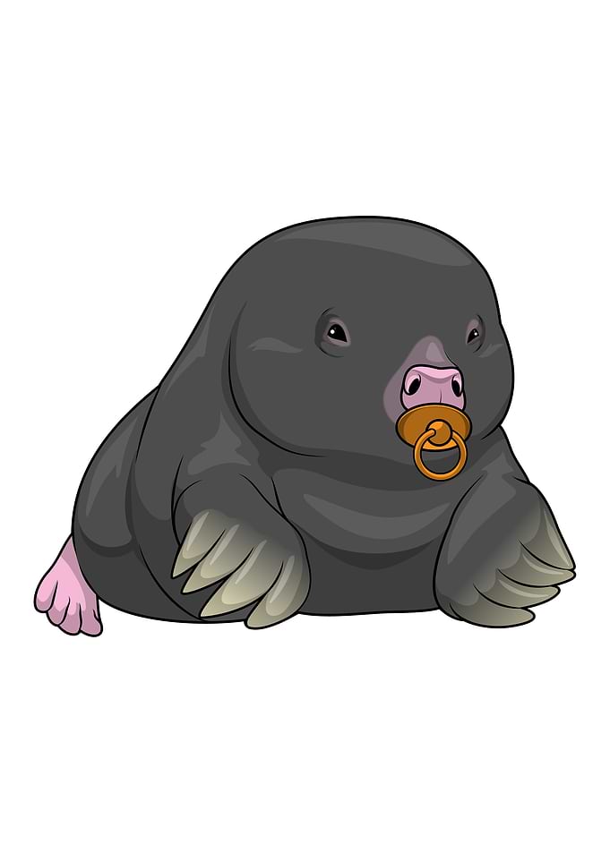 Baby Mole Pacifier